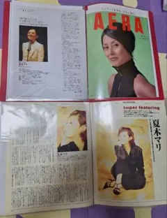 夏木マリ 26冊分34ページ切り抜きしファイリング済み - メルカリ