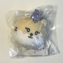 2025年最新】stayc ぬいぐるみの人気アイテム - メルカリ