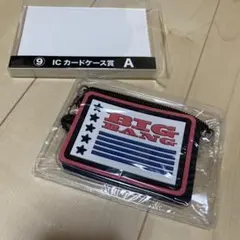 BIGBANG 이치방쿠지 GD ジヨン パスケース ICカードケース