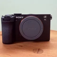 2025年最新】sony α7II ボディの人気アイテム - メルカリ