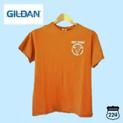 GILDAN Ｔシャツ ヴィンテージ Ｍ 202-0035