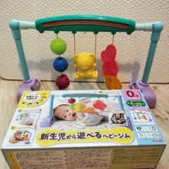 新生児から遊べるベビージム People ピープル