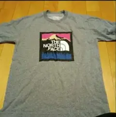 THE NORTH FACE グレー Tシャツ