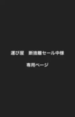 専用ページになりますのサムネイル