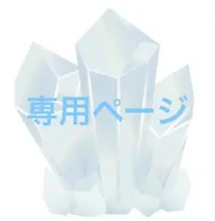 専用ページ