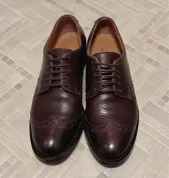 2025年最新】adolfo carliの人気アイテム - メルカリ