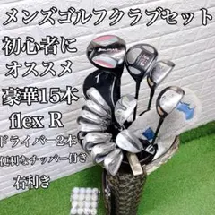 超豪華15本 お得なオススメセット 即戦力 メンズゴルフクラブセット
