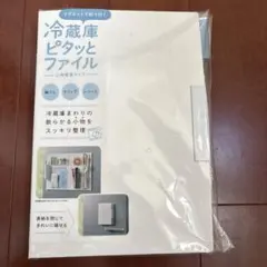 Item thumbnail for item 910625bd-0a38-478a-802a-221d566d06f6