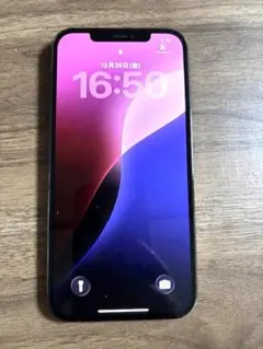 Apple iPhone 12 promax本体 ブルー ジャンク？256GB