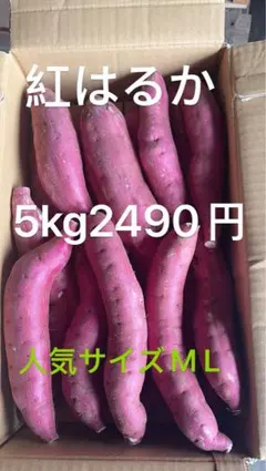 千葉県産 紅あずま さつまいも Lサイズ 5Kg ④ - メルカリ