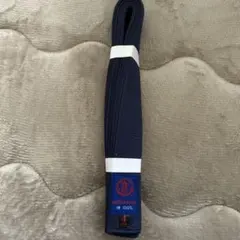 Item thumbnail for item bc62bc00-f626-4182-ad55-235f6a6c348d