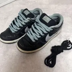 【希少】ナイキ ダンク SB ロー ランスマウンテン