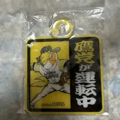 ソフトバンクホークス　カーサイン