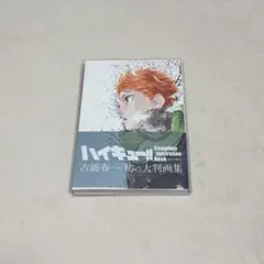 ハイキュー 原画集 ケース付き