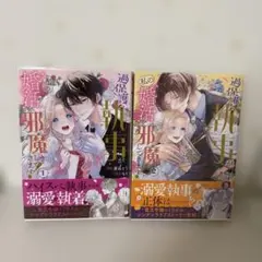 過保護な執事が私の婚活を邪魔してきます！　全2巻　完結