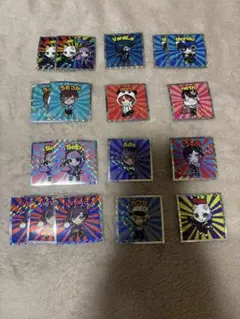 クレイジーラクーンマンチョコ シール　CR ステッカー 12種18枚セット