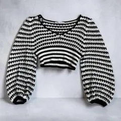 ZARA ボーダー ショート丈ニット