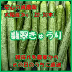 (株)MIRISE FARM  きゅうり20kg 9月2日発送 株)MIRISE FARM 様専用 きゅうり20kg 9月2日発送 - メルカリ