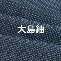 大島紬 着物 754 はぎれ 紬 アンティーク 生地 布 ハギレ古布 本場大島紬