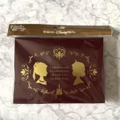 東京ディズニーシー ファンタジースプリングス レターセット アナと雪 