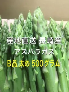 長崎産アスパラガス Ｂ品 太め 500グラムのサムネイル