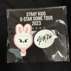 Stray Kids 5-STARクリップ リービット