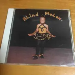 T*M様 Blind Melon Soup 12インチLPレコード １枚 輸入版 T*M様 Blind Melon Soup 12インチLPレコード 1枚 輸入版 Blind