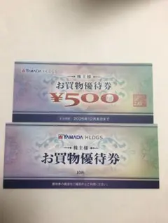 YAMADA HLDGS 株主優待券 5500円分