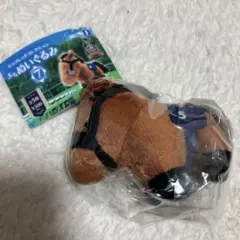 サラブレッドコレクション　ぷちぬいぐるみ7 ベラジオオペラ