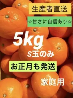 ⑤【小玉】愛媛県産　紅マドンナ同品種　愛果28号　まどんな