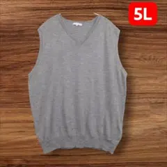 vネックベスト 5l