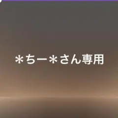 ＊ちー＊さん専用