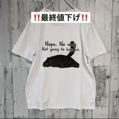 【‼️本日限定‼️】　カットソー　イラスト　XL ホワイト　猫　プリント　Tシャツ