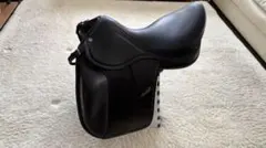 Item thumbnail for item b8d2e463-0cef-49e0-a9bb-74d869ba76de