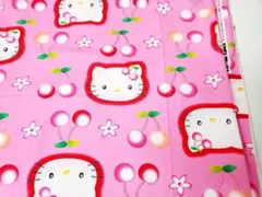 激レア　ハローキティ　野いちご　食器棚シート　当時物　平成レトロ　2002年 激レア ハローキティ いちご 食器棚シート 当時物 平成レトロ 2002年
