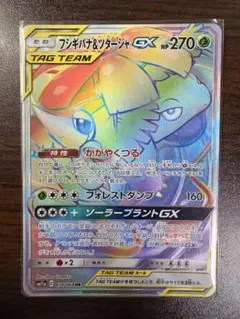 フシギバナ＆ツタージャGX HR SM11a リミックスバウト 074/064