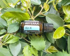 2026年最新】ドテラ エアーエックスの人気アイテム - メルカリ