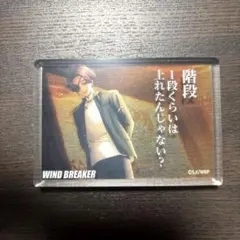 WIND BREAKER DAISO アクリルブロック 蘇枋隼飛 ウィンブレ