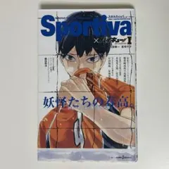 ハイキュー!! ショーセツバン!! I 特典付き　影山飛雄