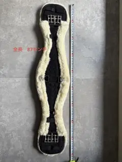 Item thumbnail for item 6a9ec127-d394-4955-b851-693ef36116a0