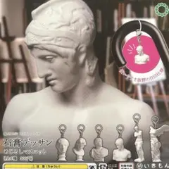 2026年最新】石膏 ブルータスの人気アイテム - メルカリ