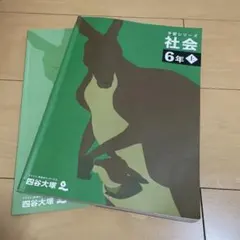予習シリーズ　6年 塾サポ 下剋上受験 / 予習シリーズ 演習問題集 算数 6年下 有