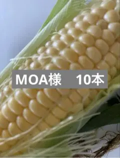 MOA様専用ページ