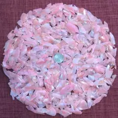 貝殻　ベニ貝　サクラ貝　カケラ　100g 二枚貝　No.393