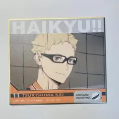 一番くじ　ハイキュー!! ゴミ捨て場の決戦2 F賞　色紙　月島蛍