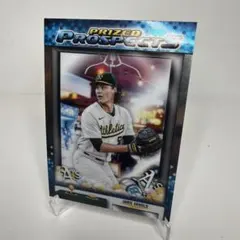 Item thumbnail for item bf371f53-6bd0-4239-8c7a-3b49685171e9