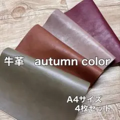 牛革autumn color