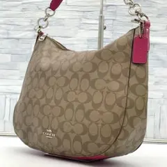 極美品　希少カラー　COACH　コーチ　シグネチャー　PVC　A4サイズ　肩掛け