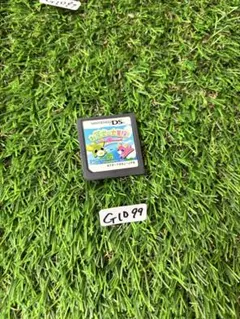 (G1099) Nintendo DS お茶犬の大冒険 ほんわか夢みる世界旅行