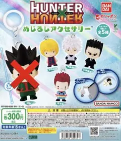 ハンターハンター　めじるしアクセサリー　セミコンプリート